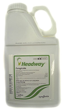 Headway (Gallon) 2/Case       <br>* Agency Item-Separate Slip *S