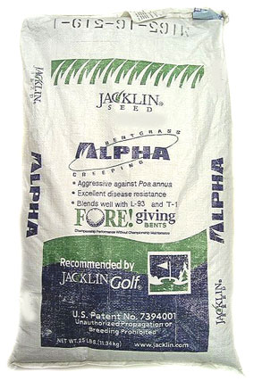 Alpha Creeping Bentgrass Seed <br>New:1#/1000 Sqft;Over:.1#/1000
