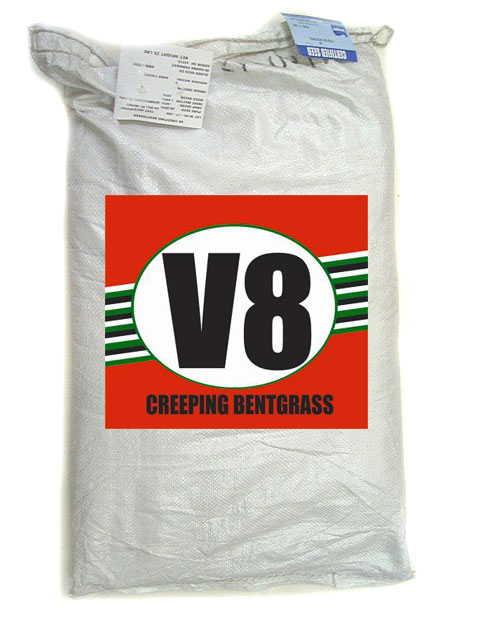 V8 Creeping Bentgrass Seed    <br>New:1#/1000 Sq.Ft;Over:1#/1000