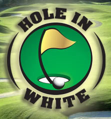 Hole In White Llc