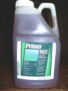 Primo Maxx (Gallon) 2/Case    <br>* Agency Item-Separate Slip *S (LM4405                   )